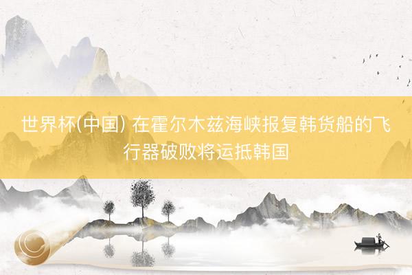 世界杯(中国) 在霍尔木兹海峡报复韩货船的飞行器破败将运抵韩国