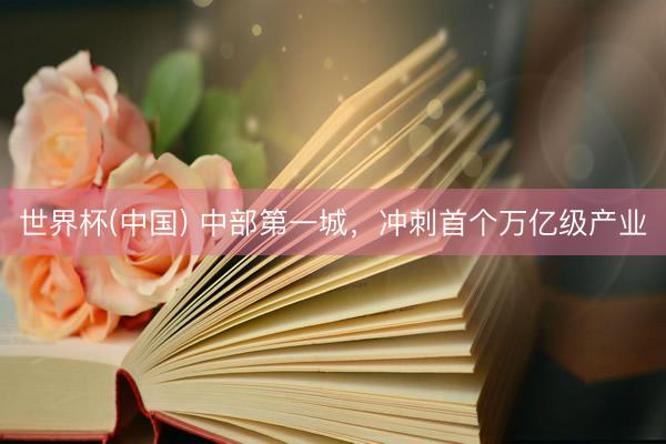世界杯(中国) 中部第一城，冲刺首个万亿级产业