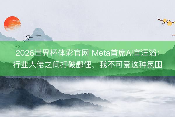 2026世界杯体彩官网 Meta首席AI官汪滔：行业大佬之间打破鄙俚，我不可爱这种氛围