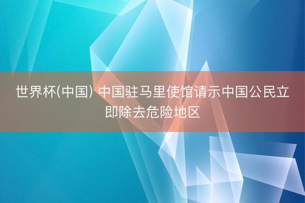 世界杯(中国) 中国驻马里使馆请示中国公民立即除去危险地区