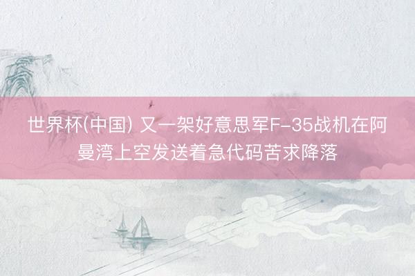 世界杯(中国) 又一架好意思军F-35战机在阿曼湾上空发送着急代码苦求降落