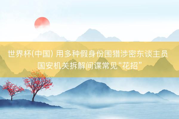 世界杯(中国) 用多种假身份围猎涉密东谈主员 国安机关拆解间谍常见“花招”