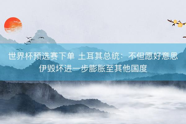 世界杯预选赛下单 土耳其总统：不但愿好意思伊毁坏进一步膨胀至其他国度