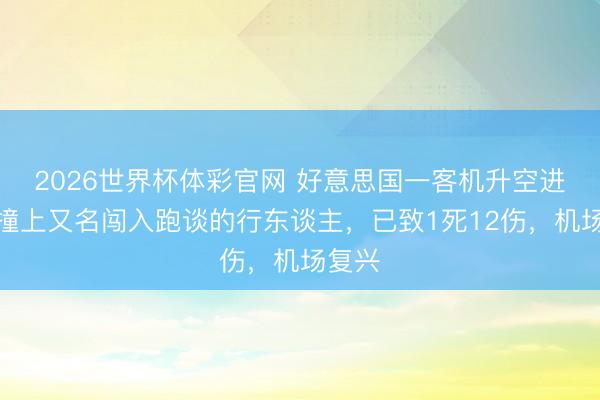 2026世界杯体彩官网 好意思国一客机升空进程中撞上又名闯入跑谈的行东谈主，已致1死12伤，机场复兴
