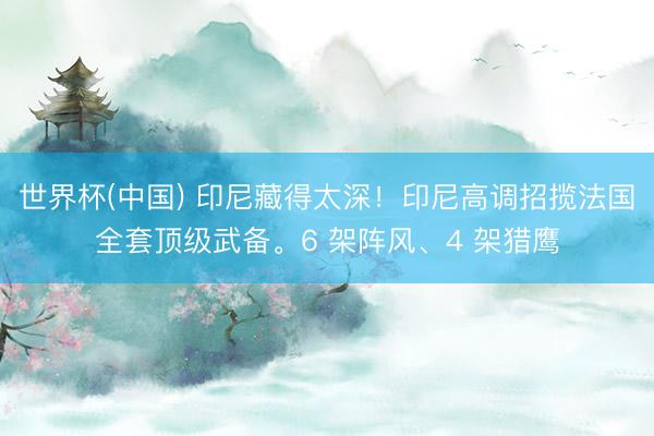 世界杯(中国) 印尼藏得太深！印尼高调招揽法国全套顶级武备。6 架阵风、4 架猎鹰