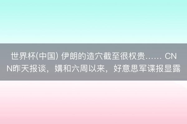世界杯(中国) 伊朗的造穴截至很权贵…… CNN昨天报谈，媾和六周以来，好意思军谍报显露
