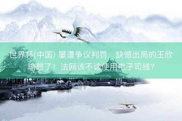 世界杯(中国) 屡遭争议判罚，缺憾出局的王欣瑜怒了！法网该不该使用电子司线？