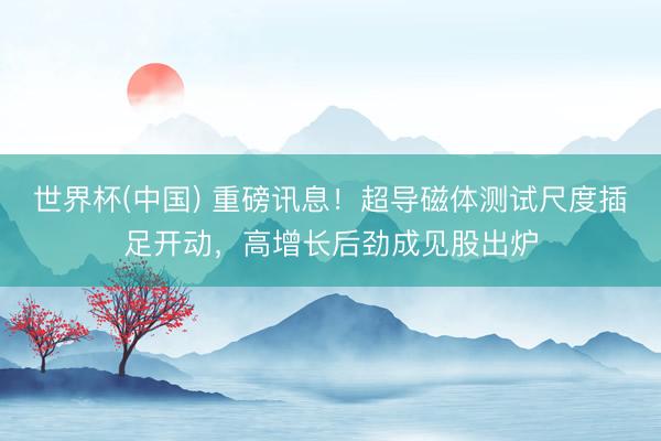 世界杯(中国) 重磅讯息！超导磁体测试尺度插足开动，高增长后劲成见股出炉