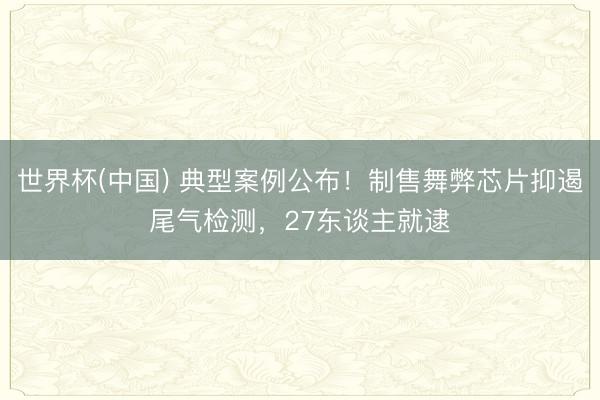 世界杯(中国) 典型案例公布！制售舞弊芯片抑遏尾气检测，27东谈主就逮