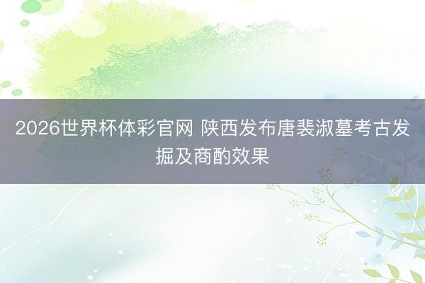 2026世界杯体彩官网 陕西发布唐裴淑墓考古发掘及商酌效果
