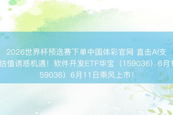 2026世界杯预选赛下单中国体彩官网 直击AI支配前沿，布局估值诱惑机遇！软件开发ETF华宝（159036）6月11日乘风上市！