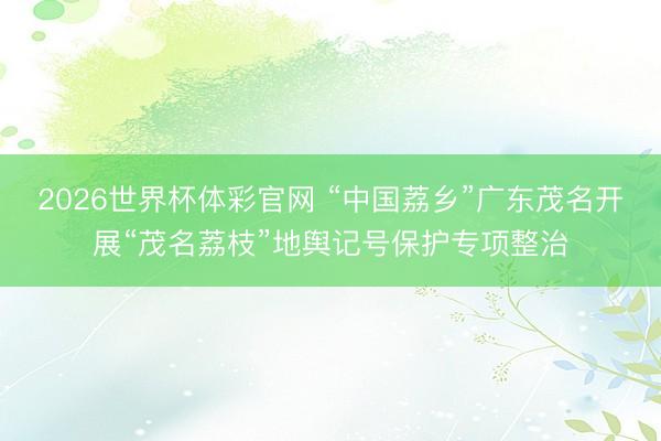 2026世界杯体彩官网 “中国荔乡”广东茂名开展“茂名荔枝”地舆记号保护专项整治