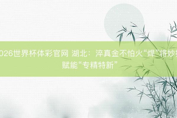 2026世界杯体彩官网 湖北：淬真金不怕火“焊”将妙技 赋能“专精特新”