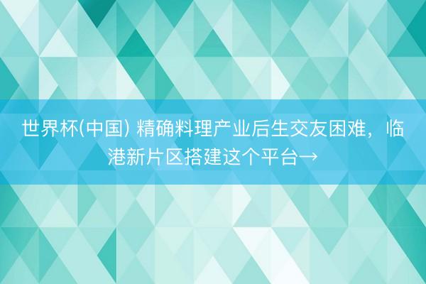 世界杯(中国) 精确料理产业后生交友困难,临港新片区搭建这个平台→