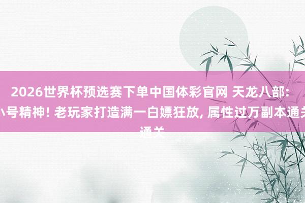 2026世界杯预选赛下单中国体彩官网 天龙八部: 小号精神! 老玩家打造满一白嫖狂放， 属性过万副本通关